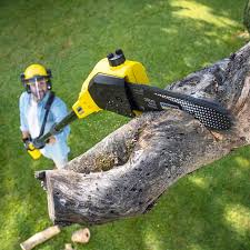 Best Tree Mulching Services  in , WY